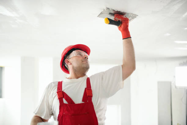 Mold Remediation for Rental Properties in Spring Grove, PA