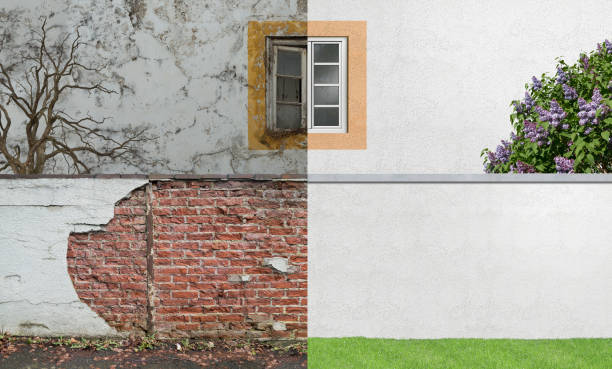Reliable Spring Grove, PA Mold Removal Solutions